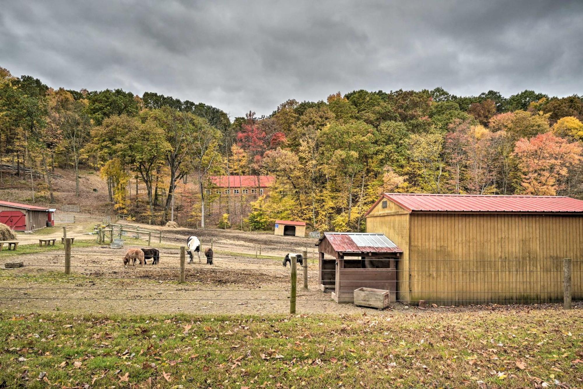 Lone Ranger Cabin With 50 Acres By Raystown Lake Huntingdon Exterior foto